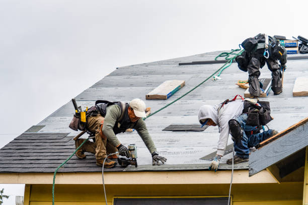Professional Roofing technician working in Saint David, IL
